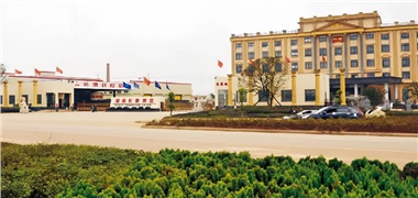 長康40年｜一粒芝麻的微光，照亮四十年山河