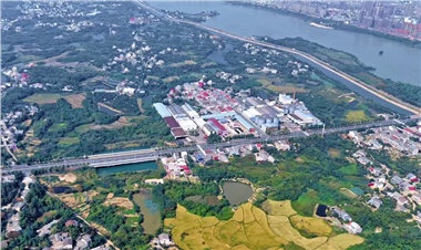 走向世界的油香｜40年長康，從湘陰洞庭到全球餐桌