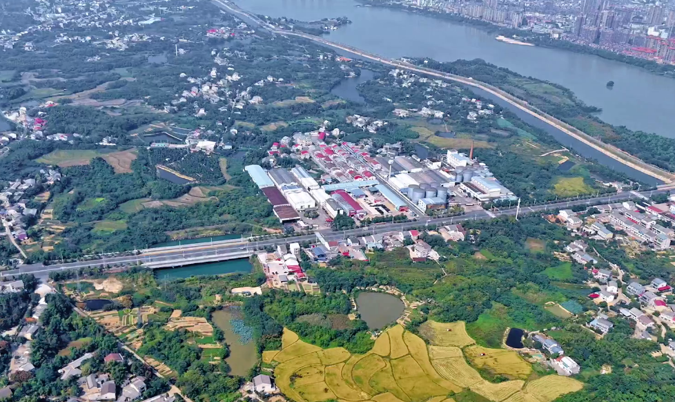 走向世界的油香|40年長康,從湘陰洞庭到全球餐桌 走向世界的油香|40年長康,從湘陰洞庭到全球餐桌